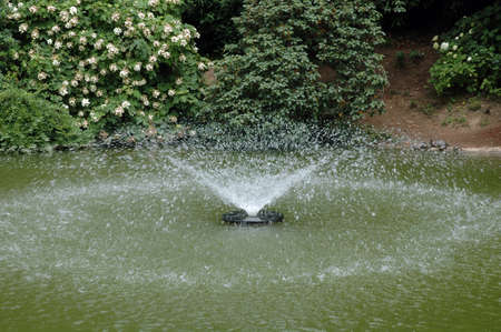 Water fountain in the poundの写真素材
