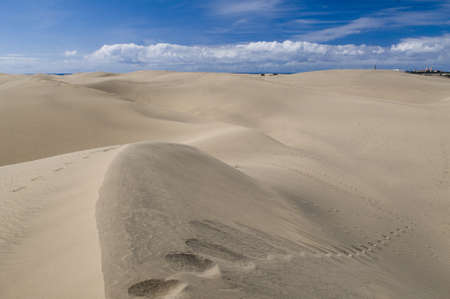 These sand dunes are brought with wind from the Sahara Desert. Dunes of Las Palmas are situated on the island Gran Canaria.の写真素材