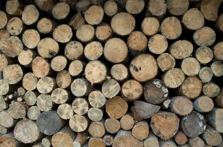 Trees have been cut down and clamped.  Sheared surfaces form the pattern.