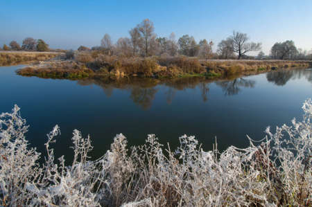 The  grass, leaves  - always round the river are covered with rime  It is autumn morning の写真素材