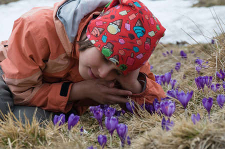 The girl is lost in contemplation of violet crocuses  Such flower meadow is characteristic for Carpathian Mountains in spring  の写真素材