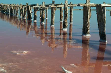 Surface of salt lake is multicolored  Woods stick out of the water の写真素材