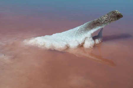 All objects in this lake covered with salt. Water contains minerals and so is multicoloured.