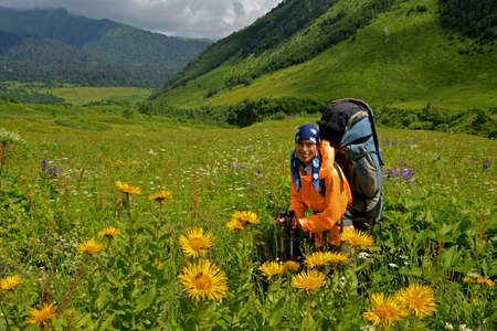 Woman with backpack in blossomy valley. Yellow flowers are in foreground. Woman is dressed in bright clothes.の写真素材