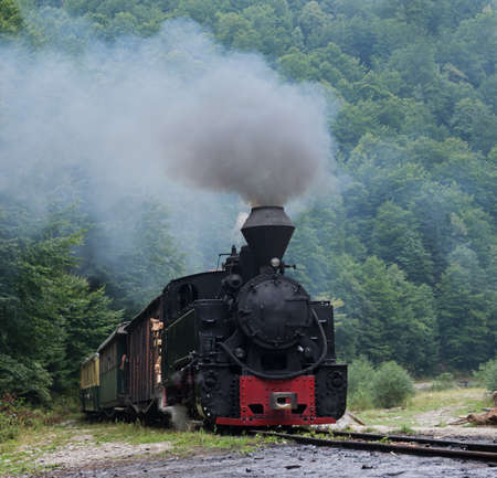 Running wood-burning locomotive of Mocanita Maramures, Romania. Old train is situated against green forest background.の写真素材