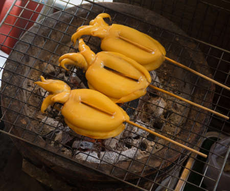 Calamaries ara cooking under charcoal. It will be grilled calamary.の写真素材