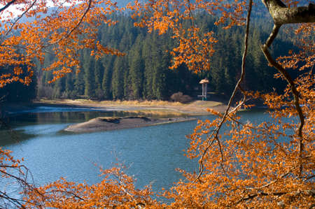 Beautiful Synevyr lake surrounded with forest. Red leaves of beech in foreground.の写真素材