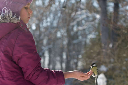 Tit sits on one's hand. Girl feeds the bird.