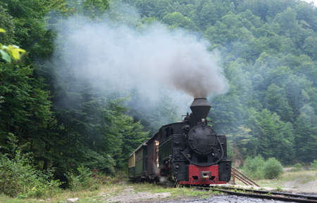 Running wood-burning locomotive of Mocanita (Maramures, Romania). Old train is situated against green forest background.の写真素材