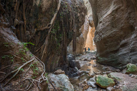 Avakas Gorge with little river (Cyprus). Little blur people frames underline conyon size.の写真素材