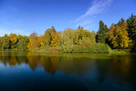 Multicolored autumn trees in the middle of composition. Lake with forest reflection in foreground. Blue sky with cloud in background.の写真素材