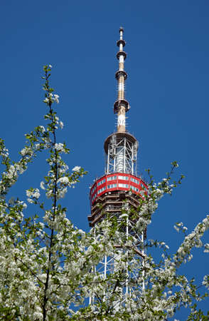 Kiev. TV tower with blossom tree in foreground. Clear blue sky in background.の写真素材