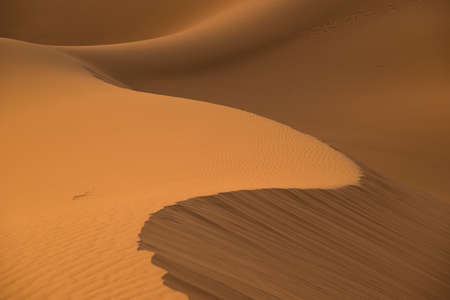 Fantastic desert pattern.の写真素材