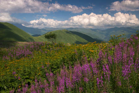 Mountains. Alpine meadows. Beautiful clouds.