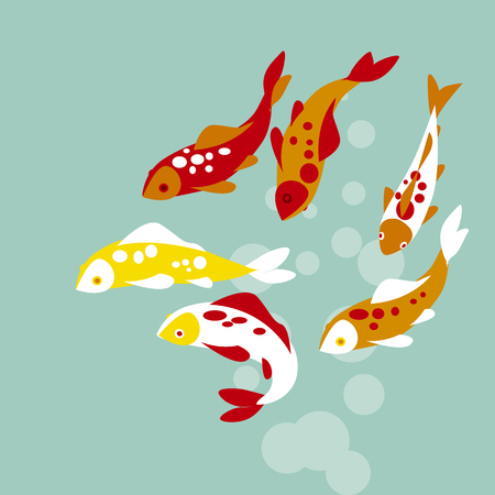koi fishのイラスト素材