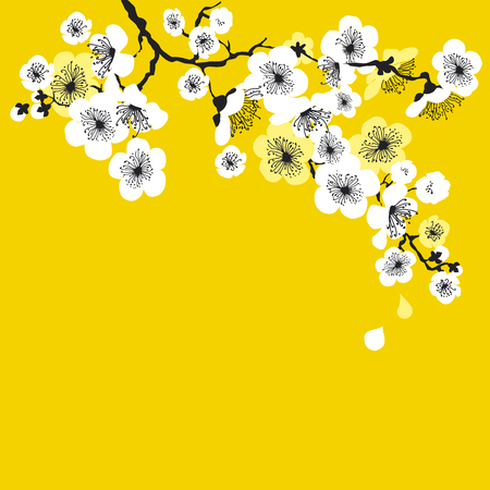 white sakura blossom on sunny yellow background. elegant naive spring floral design element for invitation, card, poster, greetings, wedding.のイラスト素材