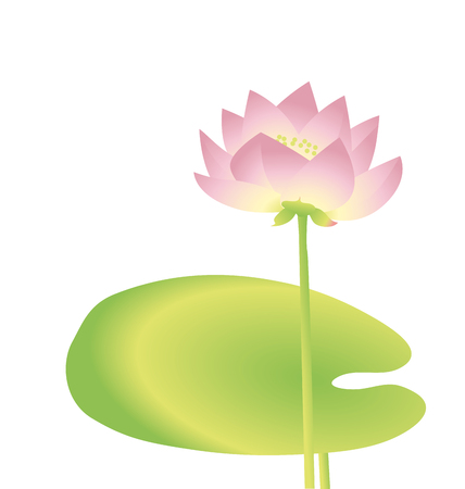 single  lotus decorative floral element. vector illustrationのイラスト素材