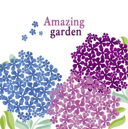 simple shape decorative hydrangea header template. vector illustrationのイラスト素材