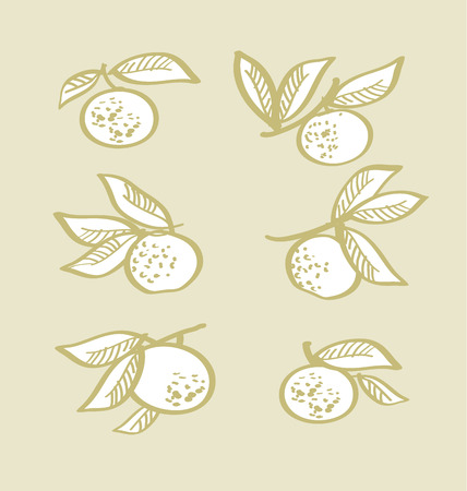 Orange hand drawn element.のイラスト素材