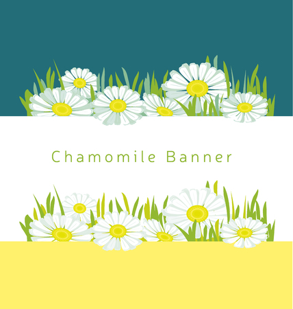 chamomile vector illustration. white daisy flower in decorative abstract style. floral element for header, poster, webのイラスト素材