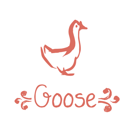 goose vector illustration. hand drawn sketch sketch of gourmet cuisine poultryのイラスト素材