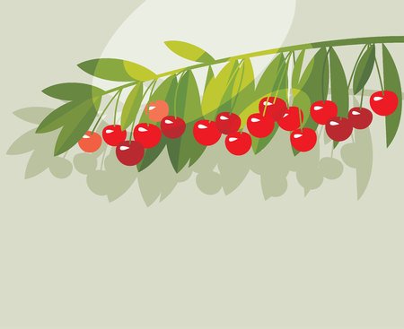 Rape cherry fruit simple flat design element. Natural cherries fruit tree branch for header, card, invitation, poster, cover and other web and print design projectsのイラスト素材