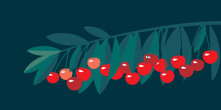 Rape cherry fruit simple flat design element. Natural cherries fruit tree branch for header, card, invitation, poster, cover and other web and print design projectsのイラスト素材