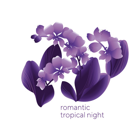 Floral romantic greeting card vector template. Orchid flower gradient illustration. Isolated blooming plant and lettering collage. Valentine day celebration. Botanical invitation, web banner designのイラスト素材