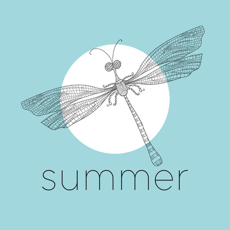 Dragonfly, damselfly line art  illustration. Summer, entomology hand drawn banner concept.のイラスト素材