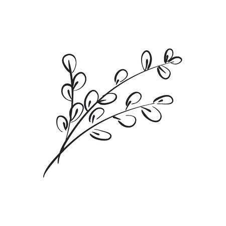 Willow catkins branch hand drawn vector illustration. Plant twig doodle drawing. Springtime symbol isolated lineart. Greeting card design element. Spring flower bouquet freehand sketchのイラスト素材