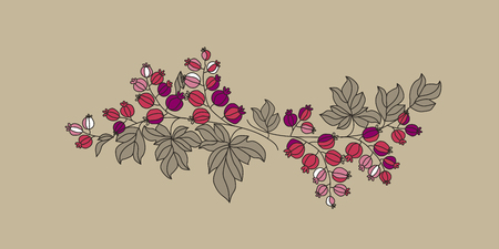 Currant berries branch outline vector illustration. Delicious organic food. Hand drawn gooseberry and leaves isolated on beige background. Floral banner, poster decoration. Sweet healthy berryのイラスト素材