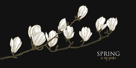 Elegant white magnolia flowers hand drawn element for greeting cards, header, invitation, poster, social media. Gold and black chick night style vector graphics.のイラスト素材