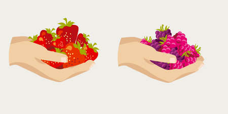 Raspberries and strawberries in hands illustration for web banners, posters, cards, wallpapers, backdrops, panels. Vector summer jam label element.のイラスト素材