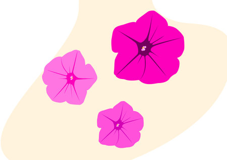 Vector fuchsia flowerのイラスト素材