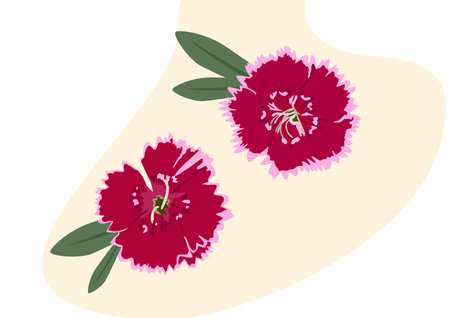 Vector dark pink flowerのイラスト素材