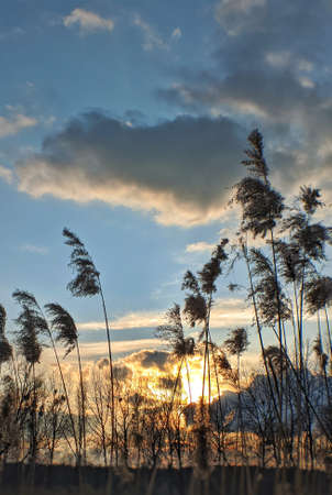 lake sunset rest nature sky water outdoor travelのeditorial素材