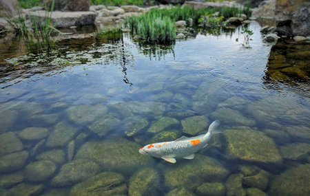 nature, outdoor, travel, rest, inspiration, backgroundのeditorial素材
