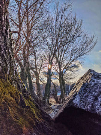 nature, outdoor, travel, rest, inspiration, backgroundのeditorial素材