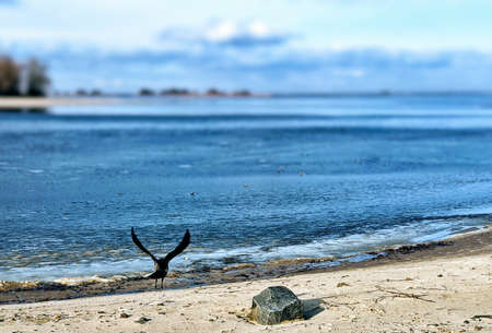 nature, outdoor, travel, rest, inspiration, backgroundのeditorial素材