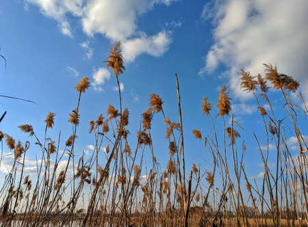 nature, outdoor, travel, rest, inspiration, backgroundのeditorial素材