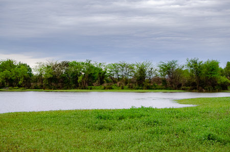 Landscape view of river with cloudy sky and green grass field.の写真素材