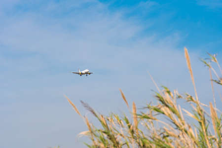 BARCELONA, SPAIN - AUGUST 20, 2016: Aircraft takes off over the meadow. Copy space. Space for textのeditorial素材