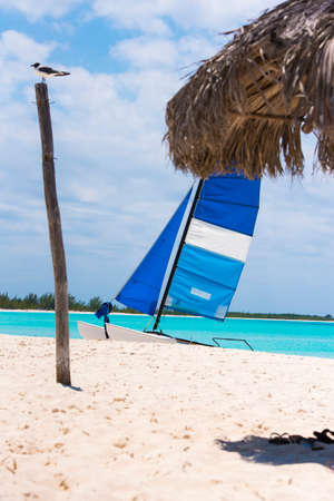 Sailboat on the sandy beach of the Playa Paradise of the island of Cayo Largo, Cuba. Copy space for text. Verticalのeditorial素材