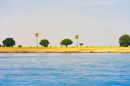 Trees on the bank of the river Irrawaddy, Mandalay, Myanmar, Burma. Copy space for textの写真素材