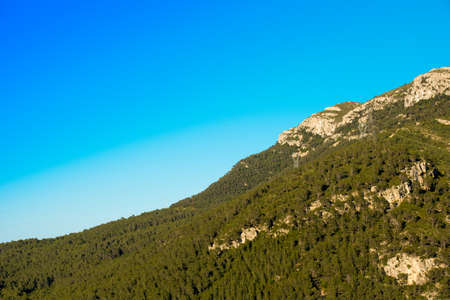 Mountain with green trees against the blue clear sky, Tarragona, Catalunya, Spain. Copy space for textの写真素材