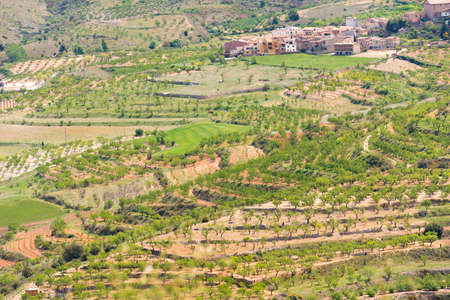 View of the forest and mountains in the province Catalunya, Spain. Top viewの写真素材