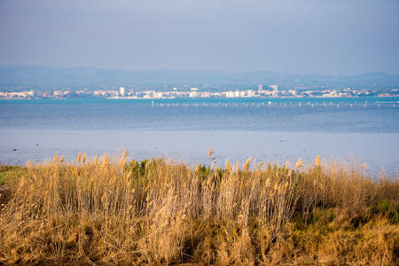 landscape river Ebro Delta in Spain, Tarragona, Catalunya. Copy space for textの写真素材
