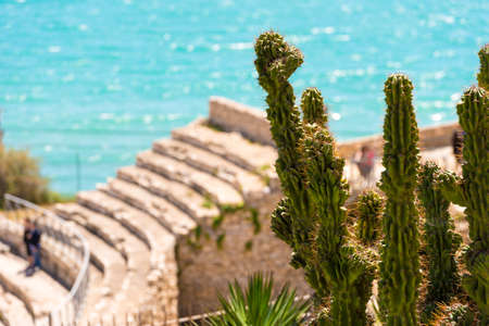 TARRAGONA, SPAIN - MAY 1, 2017: View of the ancient Roman amphitheater and the sea. Cactus in the foreground. Copy space for textのeditorial素材