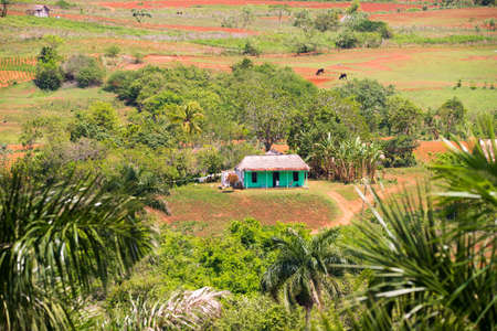 View of the Los Acuaticos, Vinales, Pinar del Rio, Cuba. Copy space for textの写真素材