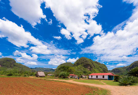 View of the Los Acuaticos, Vinales, Pinar del Rio, Cuba. Copy space for textの写真素材